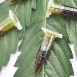 Cannabis medicinal: la salud y sexualidad de las personas con vulva