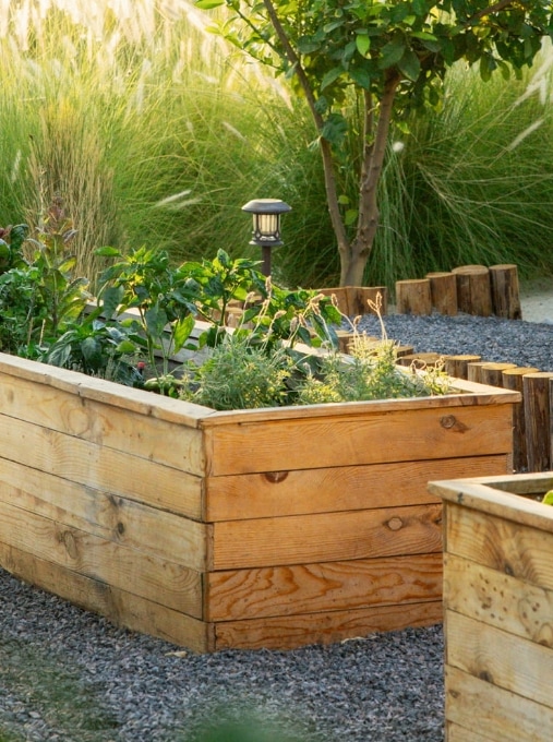 Galeria Movil_zest 5