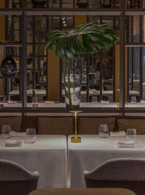 Galeria Movil_cocina1